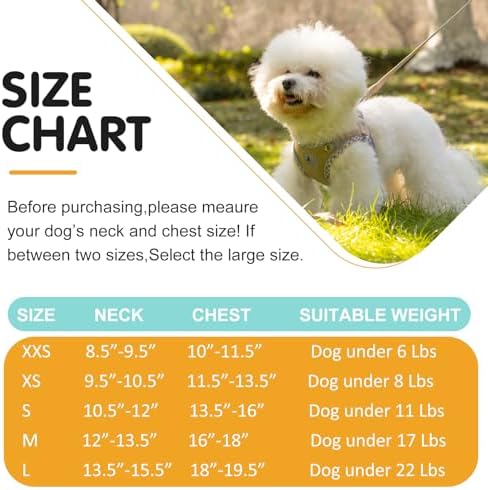 Dog Harness and Leash Set, No Pull Pet Harness - Image 6