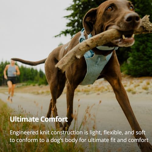 Ruffwear, Front Range Flex Dog Chest Harness, Deep Teal - Image 3