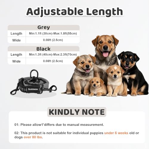 Double Dog Leash - Image 2