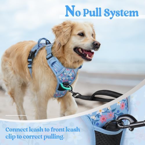 rabbitgoo Dog Harness, No Pull for Large Dogs - Image 5