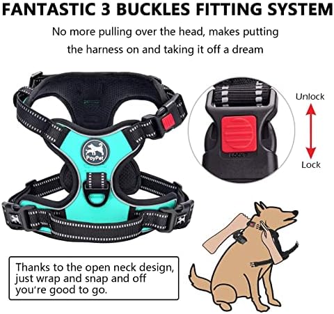 PoyPet No Pull Dog Harness Large - Image 2