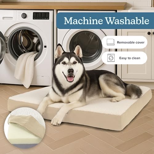 Orthopedic Dog Bed - Image 3