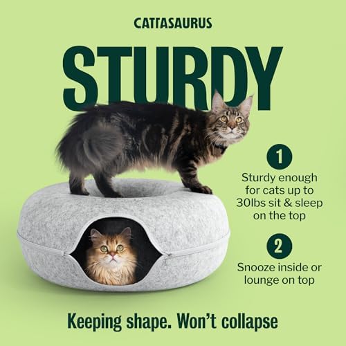 Cattasaurus Peekaboo Cat Cave Donut - Image 5