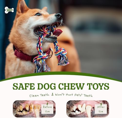 2 Pack Dog Rope Toy for Small Dogs, Durable Cotton Puppy Teething Toys - Image 3