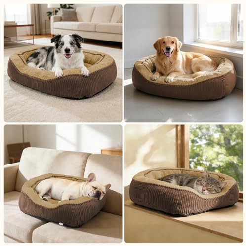Washable Dog Bed Medium Size Dogs, Orthopedic Pet Bed - Image 7