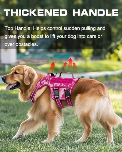 Dog Harness, Tactical No Pull for Small Sized Dog - Image 2
