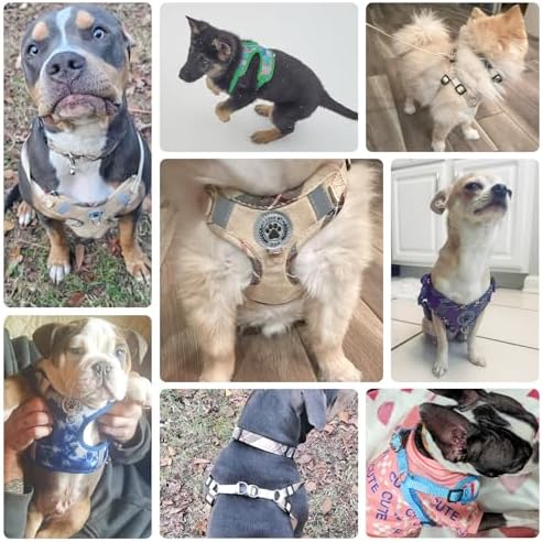 BEAUTYZOO Dog Harness Collar and Leash Set, No-Pull Step in Dog Harness - Image 5