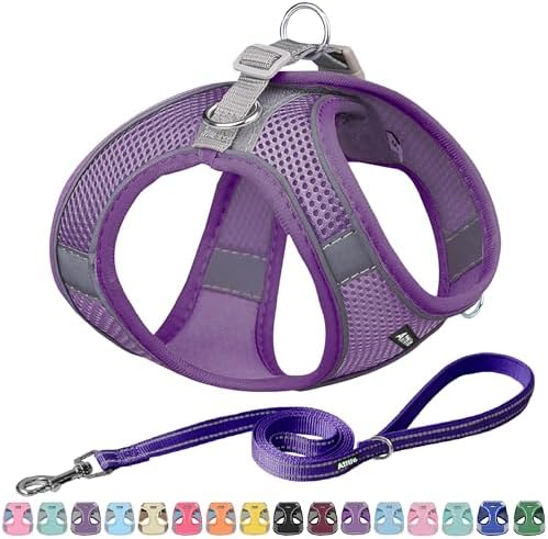 AIITLE Dog Harness and Leash Set, Step-in Puppy Pet Vest, Pure Purple XL by AIITLE-FORPETSBETTERLIFE