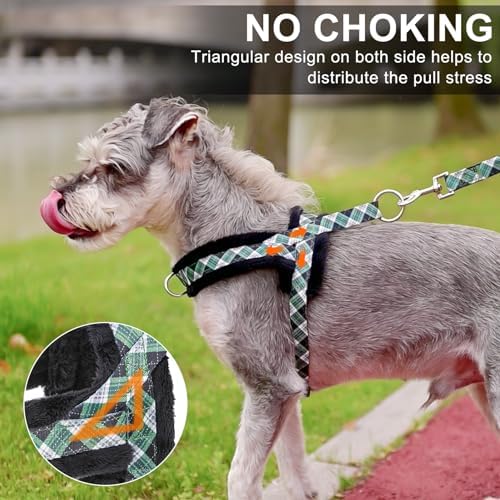 BEAUTYZOO No Pull Small Dog Harness and Leash Set, Soft Puppy Vest Harness - Image 2