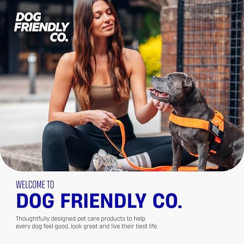 Dog Friendly Co. Dog Harness for Small Dogs - Image 7