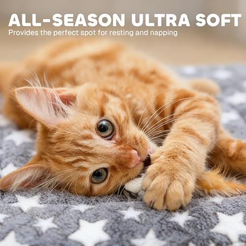 Mora Pets Cat Bed Ultra Soft Dog Crate Pad Star Print 14 x 17.5 inch Grey - Image 2