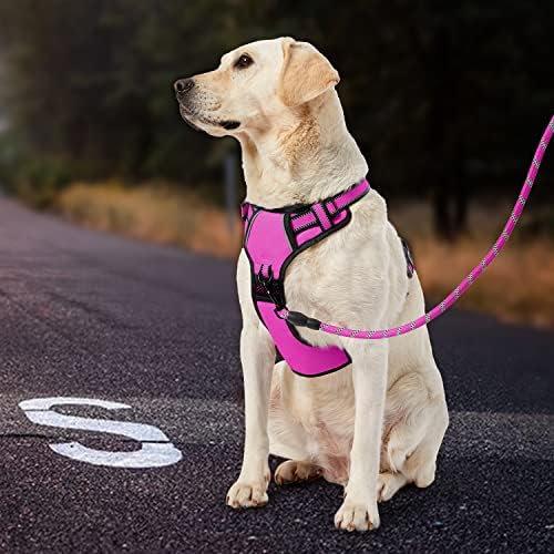 IVY&LANE No Pull Dog Harness for Small Dogs, Reflective Dog Vest Harness - Image 6