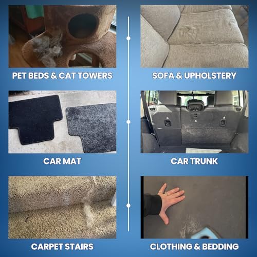 Upgrade Pet Hair Removal Tool for Car Detailing, Carpet & Furniture - Image 5