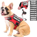 Service Dog Vest Harness and Leash Set+10 Patches, No Pull&Adjustable by MOOGROUPETSFRIEND