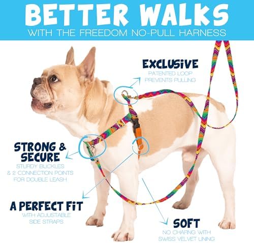 2 Hounds Design Freedom No Pull Dog Harness, 1 inch XL, Neon Green - Image 2