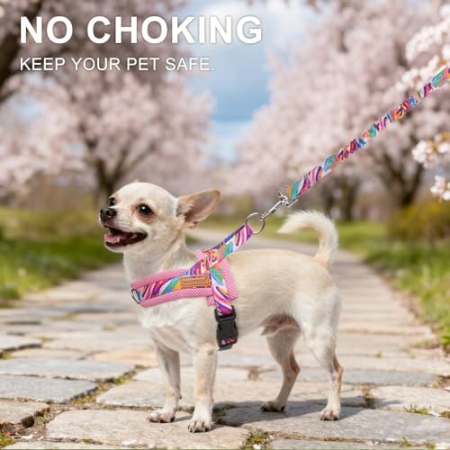 BEAUTYZOO Small Dog Harness and Leash Set, No Pull Step in Puppy Vest - Image 2