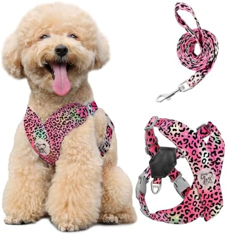 Pawaboo Small Dog Harness and Leash Set, Puppy Harness X-Frame Adjustable by Pawaboo
