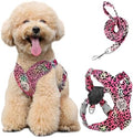 Pawaboo Small Dog Harness and Leash Set, Puppy Harness X-Frame Adjustable by Pawaboo