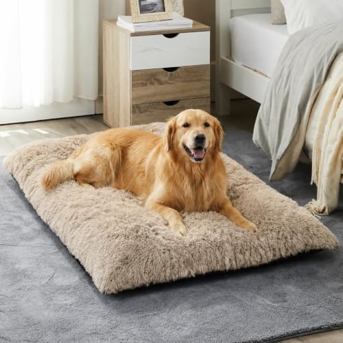 BFPETHOME Dog Bed for Large Dogs, Plush Kennel Pad for Sleeping &Ease Anxiety by BFPETHOME