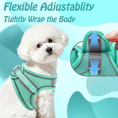 AIITLE Dog Harness and Leash Set, Step-in Puppy Pet Vest, Pure Turquoise S - Image 3