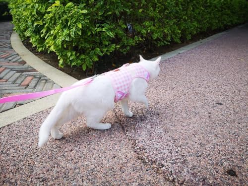 Cat Harness and Leash Set Escape Proof, Extra Large - Image 6