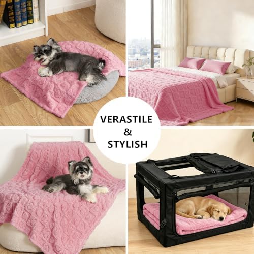 gogobunny Large Pet Blanket for Dogs Cats, Ultra Soft 300GSM Coral Fleece - Image 4