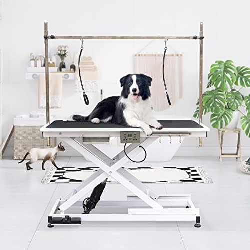 49.6” Professional Pet Grooming Table, Modern Style, Adjustable Height by JETEAGO