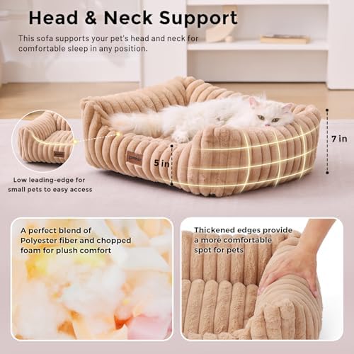 ZOMISIA Small Dog Bed, Cat Bed for Indoor Cats - Image 3