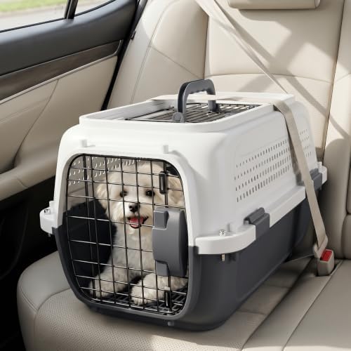 Magshion 22 Inch Hard-Sided Dog Cat Carrier - Image 3