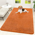 OLANLY Dog Door Mat for Muddy Paws 59x35, Super Absorbent Chenille Mud Mat by OLANLY