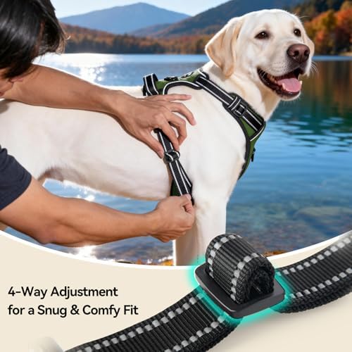 PHOEPET No Pull Dog Harness - Image 5
