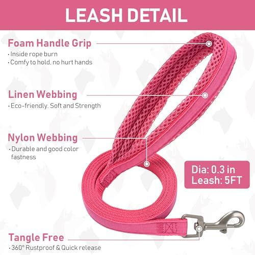 GAMUDA Small Pet Harness Collar and Leash Set, Step in No Chock No Pull Linen - Image 5