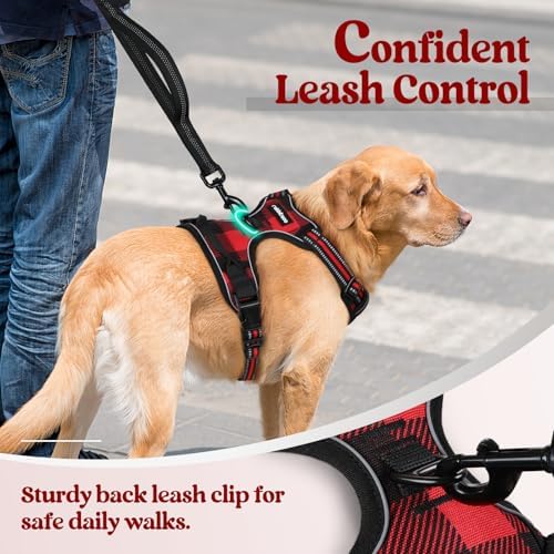 rabbitgoo Dog Harness, No Pull for Small Dogs - Image 6