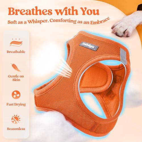 rabbitgoo Dog Harness Small Sized and Leash Set, Step-in Puppy Pet Vest - Image 3