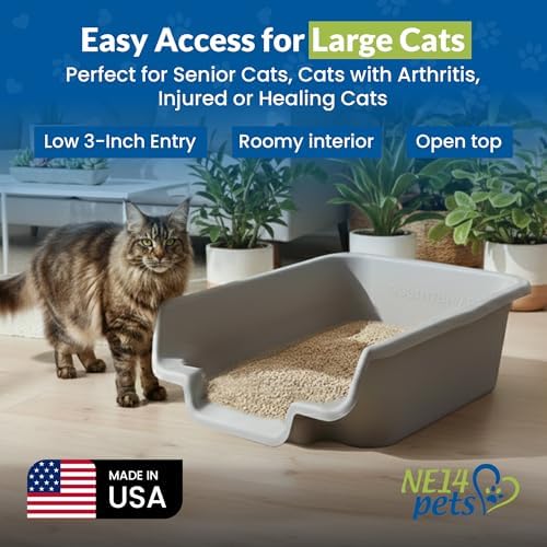 KittyGoHere Senior Cat Litter Box, Litter Pan, Jumbo 2 Pack - Image 3