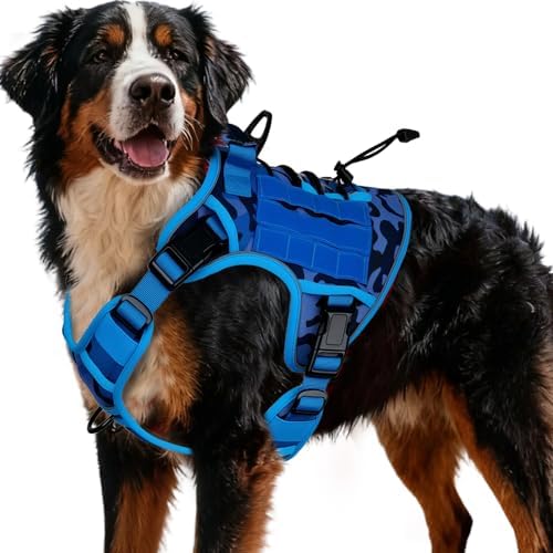 Heavy-Duty Tactical Dog Harness by Bruvoalon