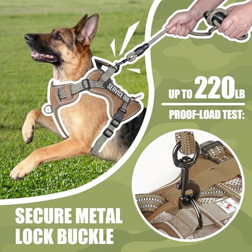 Dog Harness and Leash Set for Medium Dogs, No Pull Tactical Dog Harness - Image 4