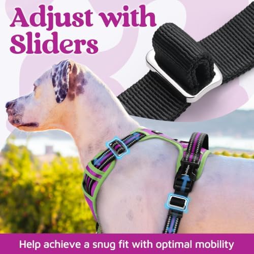 rabbitgoo Dog Harness Small Sized, No Pull 3 Buckles Easy On & Off - Image 5