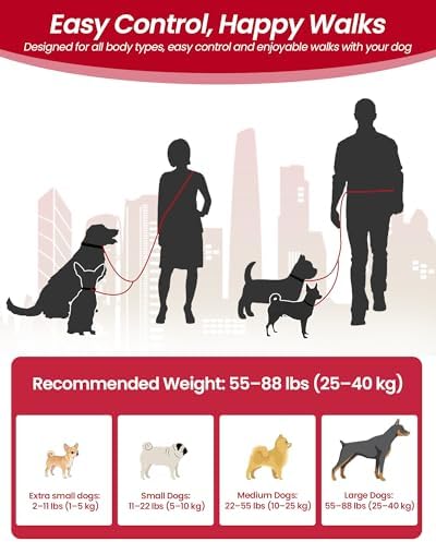 3-in-1 Double Dog Leash, Hands-Free Convertible Leash - Image 5