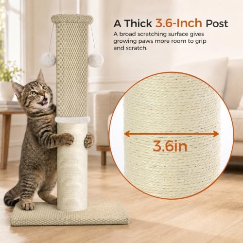 Made4Pets Cat Scratching Post - Image 4
