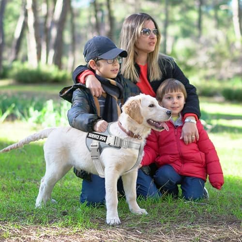 voopet Emotional Support Dog Harness, Professional Service Dog Vest Harness - Image 5