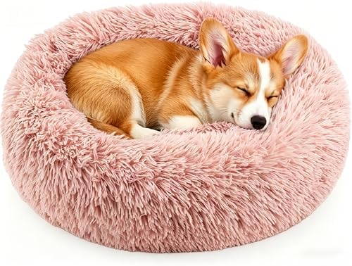 Calming Donut Dog and Cat Bed for Indoor Cats, Anti-Anxiety Round Fluffy Soft by Homeuslynn