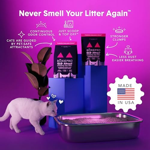 Boxie Glo Attract Clumping Cat Litter 40+ Day Odor Control Dust Free 16 lb - Image 4