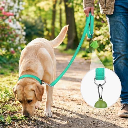 Joytale Reflective Dog Leash for Small Dogs, 4 FT x 3/4" - Image 2