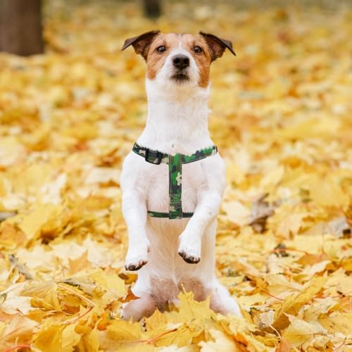 PUPTECK No Pull Dog Harness Small Sized Step-in Adjustable Puppy Vest - Image 5