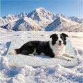 PPOLCA Waterproof Cooling Mat for Large Dogs 28x41 by PPOLCA