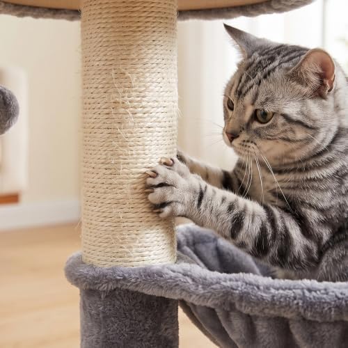 Cat Tree Tower for Kitten, - Image 5