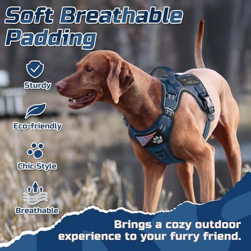 rabbitgoo Tactical Dog Harness for X-Large, No Pull Military Service Vest - Image 3
