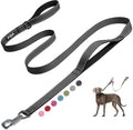 Fida Heavy Duty Dog Leash for Medium Large Dogs, 6 FT, Dual Padded Handles by Fida