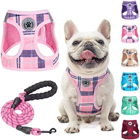 BEAUTYZOO Dog Harness Medium Sized and Leash Set, No Pull Pet Vest by BEAUTYZOO